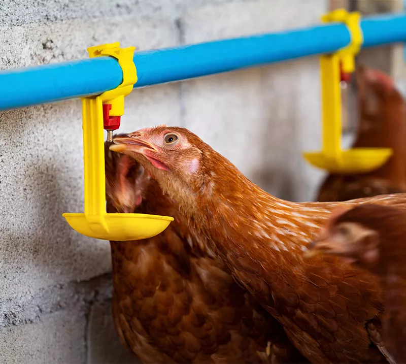 Techniblend products from Gibcare Animal Health Solutions
