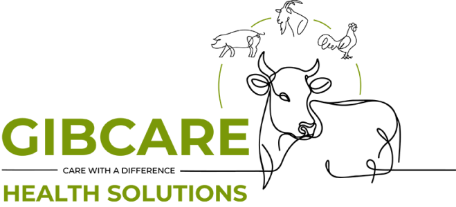 Gibcare Animal Health Solutions KZN South Africa